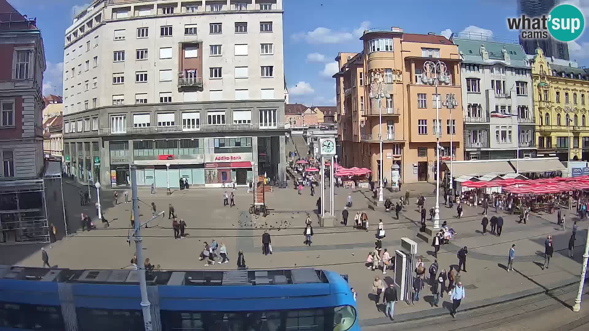Zagreb Live Ban Jelačić | Croacia