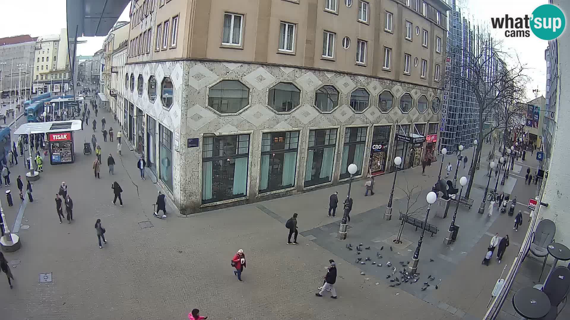 Zagreb Live Ban Jelačić | Croacia