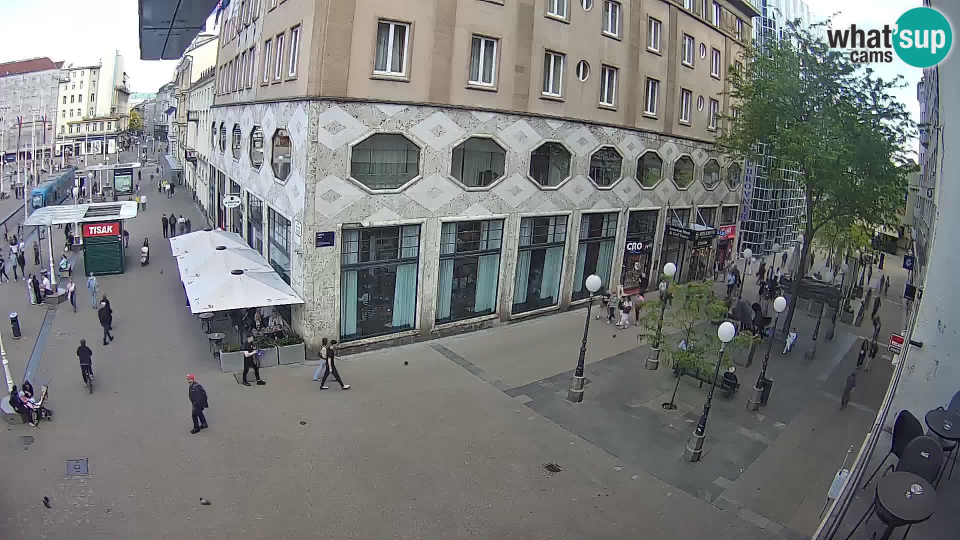 Zagreb Live Ban Jelačić | Croacia