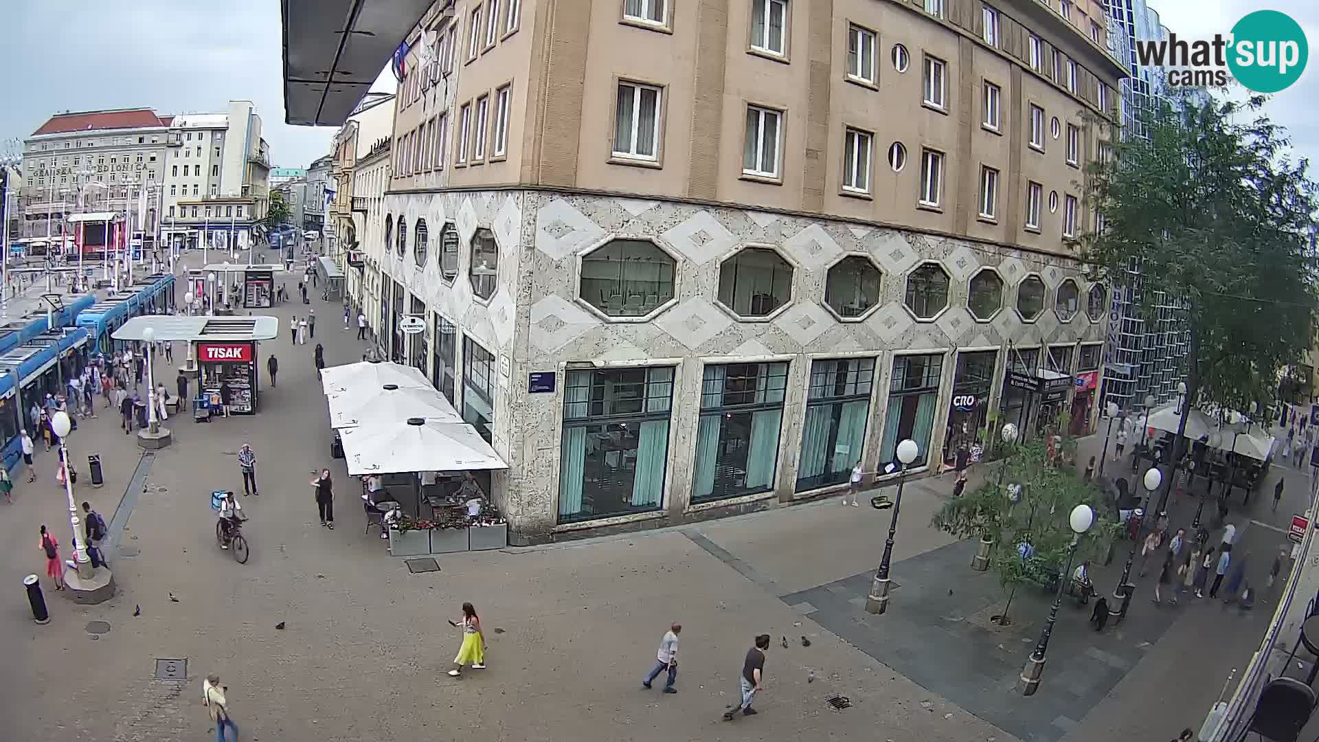 Zagreb Live Ban Jelačić | Croacia