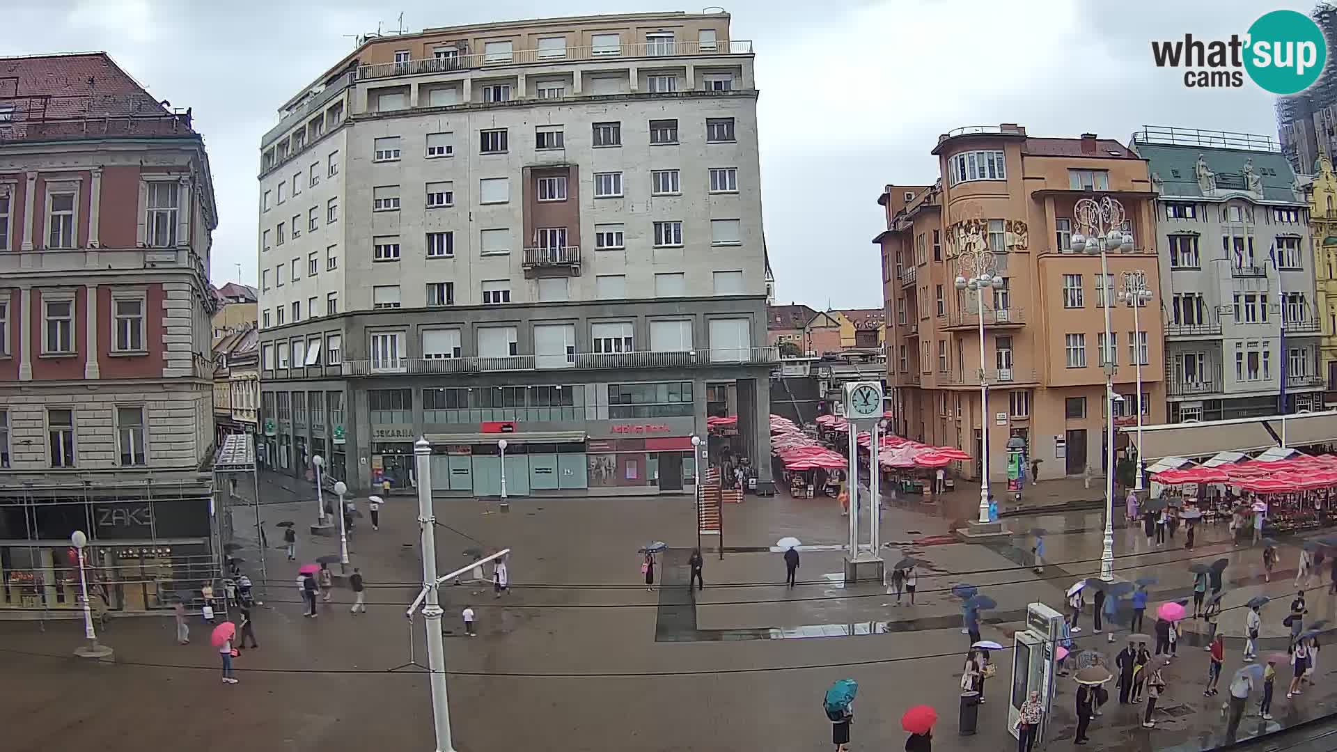 Zagreb Live Ban Jelačić | Croacia