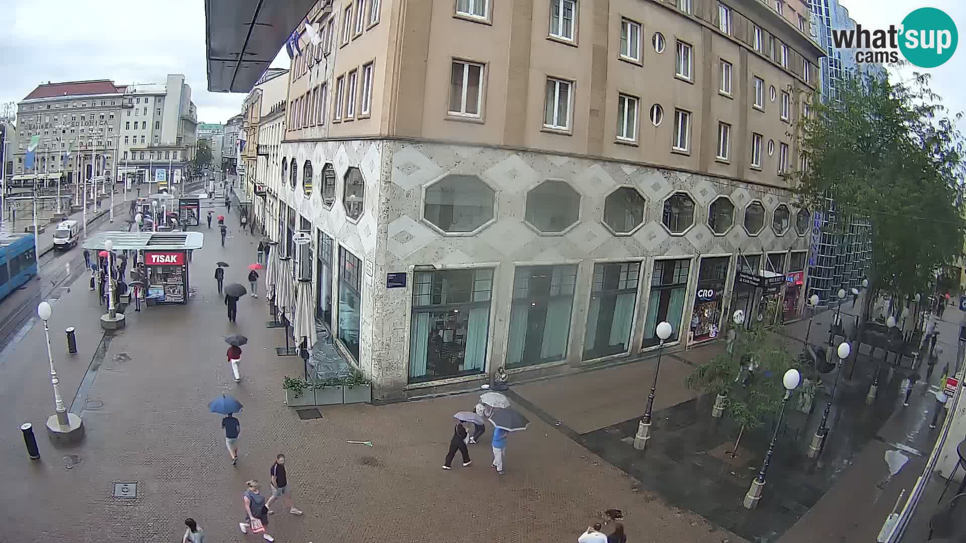 Zagreb Live Ban Jelačić | Croacia