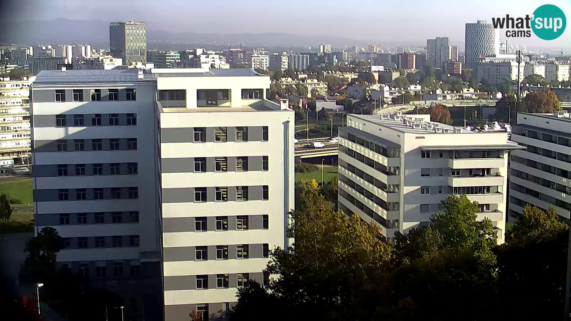 Rotonda en vivo que cruza Slavonska y Marin Držić Avenue en Zagreb webcam