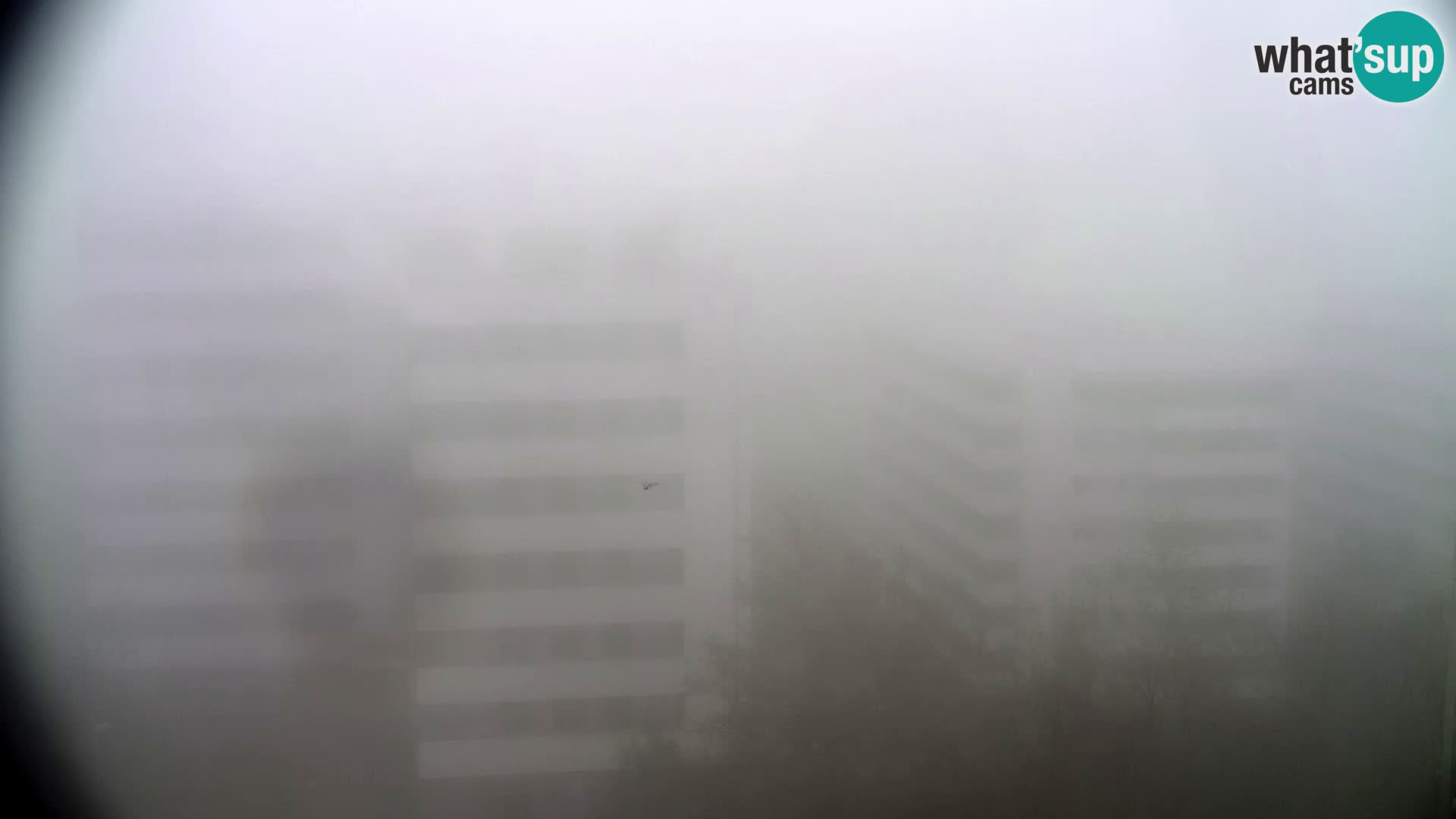 Krožišče Slavonske in Marin Držićeve ulice v Zagrebu v živo