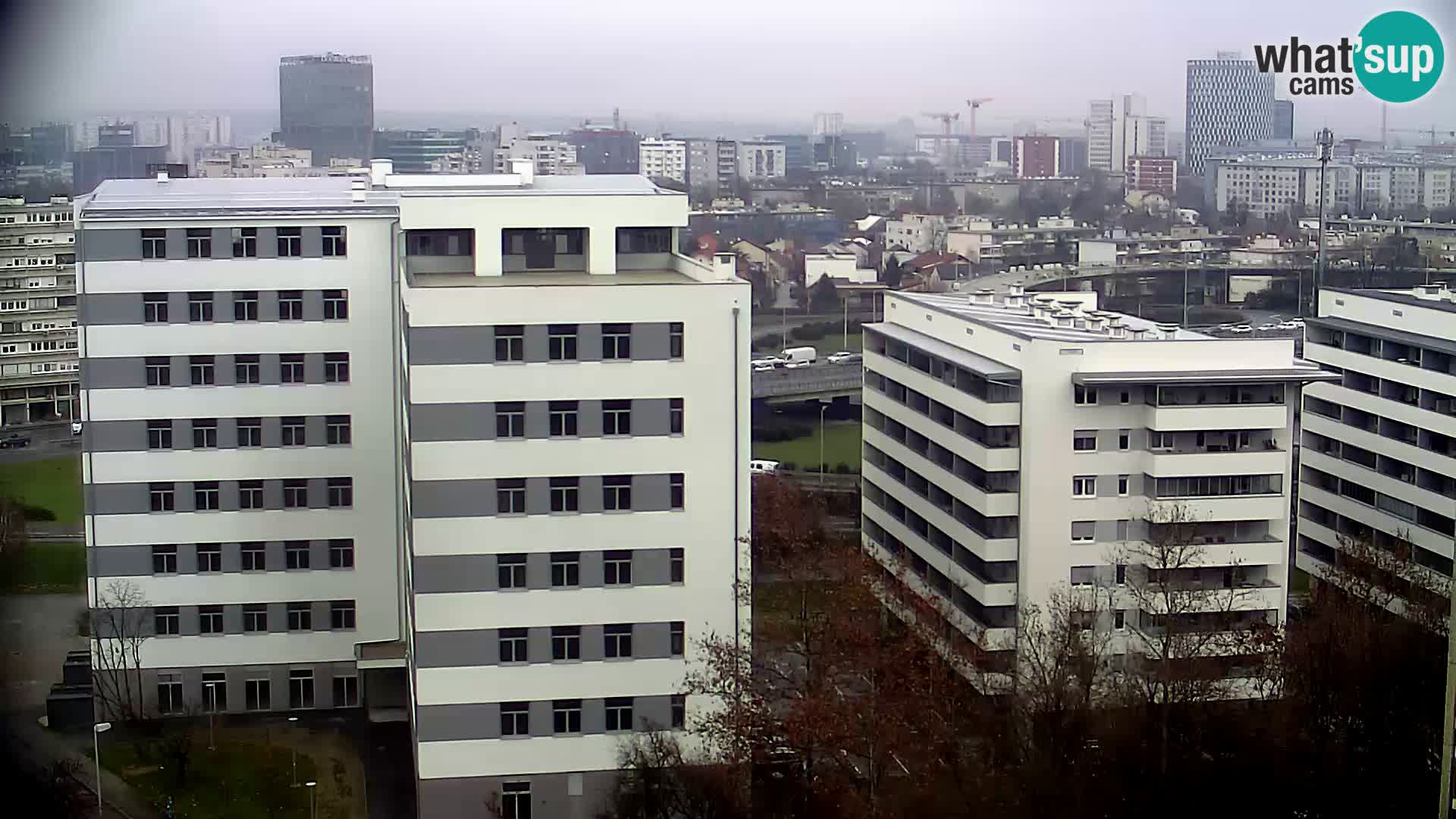 Rotonda en vivo que cruza Slavonska y Marin Držić Avenue en Zagreb webcam