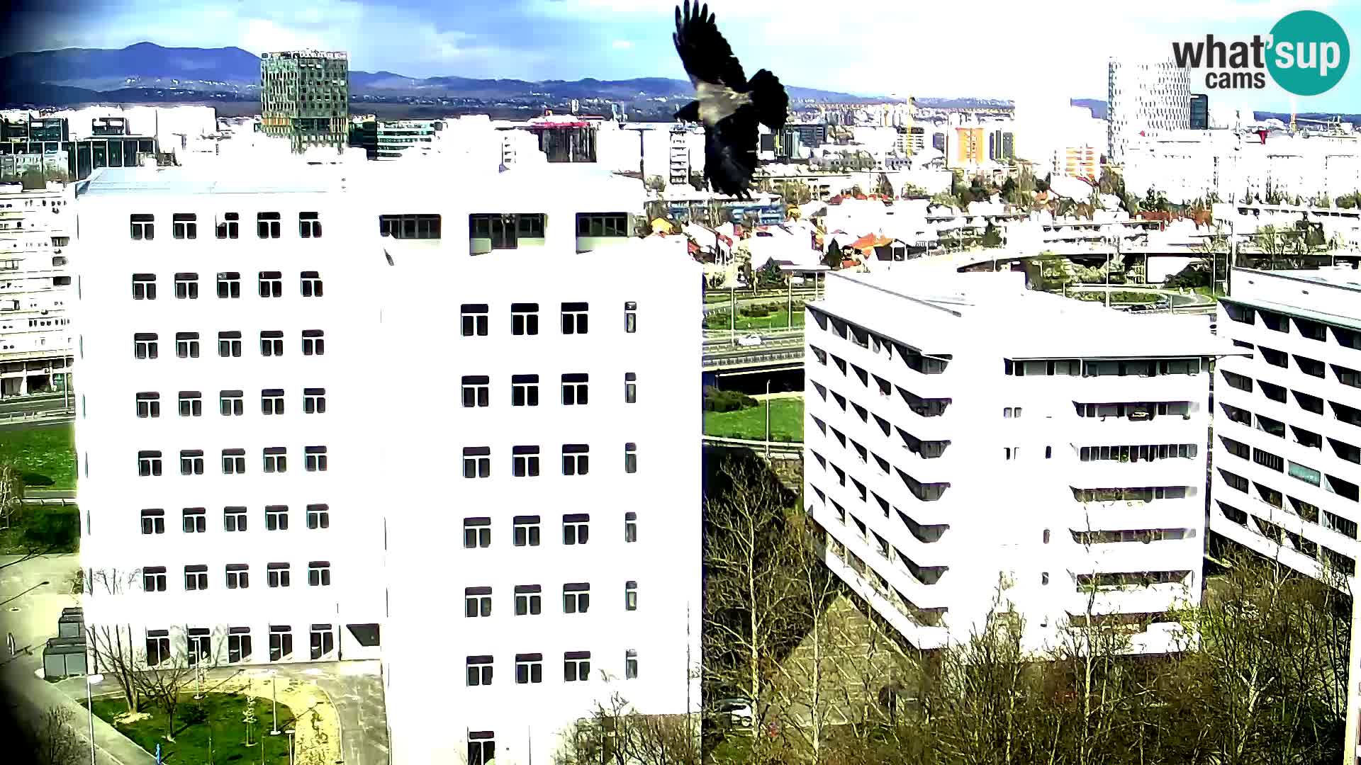 Live Interchange of Slavonska Avenue and Marin Držić Avenue in Zagreb webcam