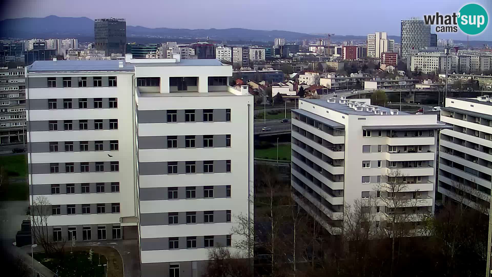 Krožišče Slavonske in Marin Držićeve ulice v Zagrebu v živo