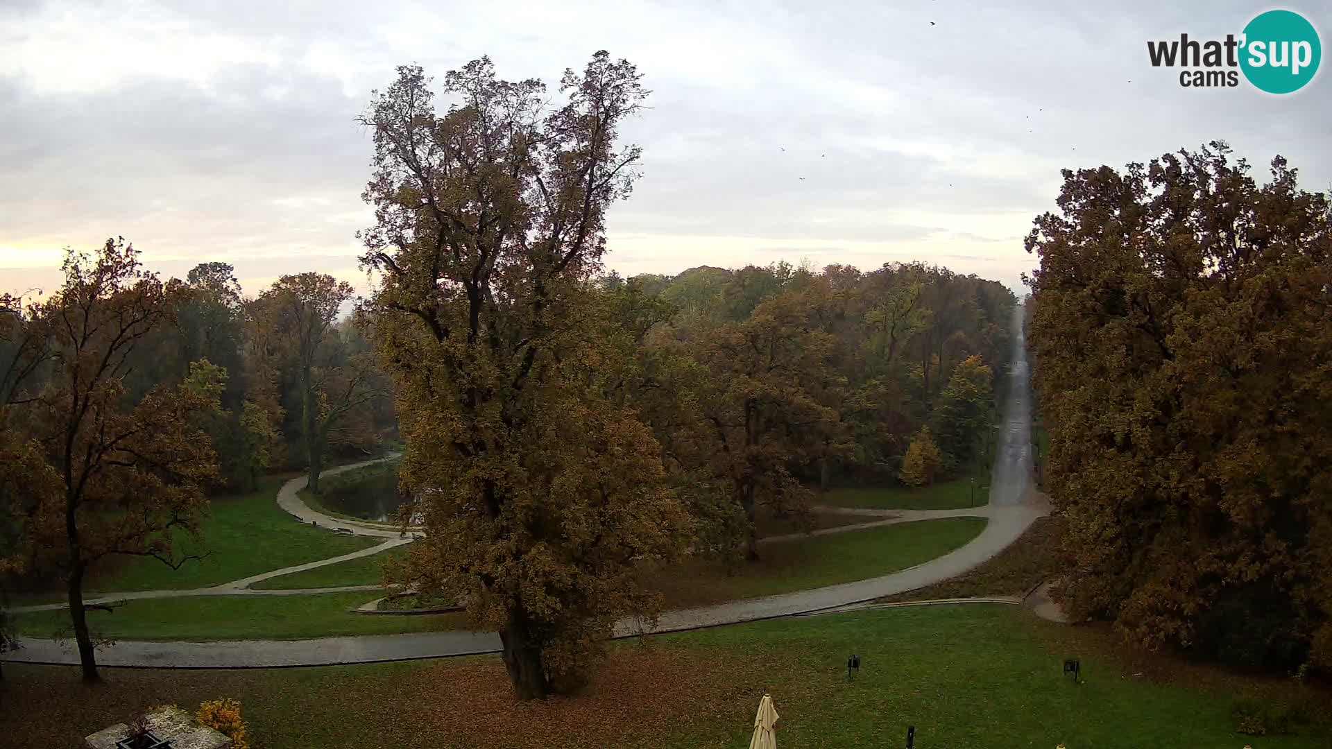 Webcam parko Maksimir – Zagabria