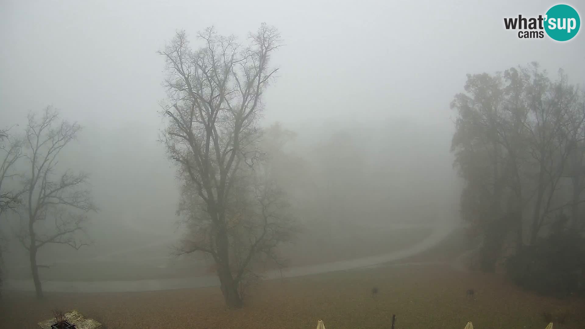 Webcam parko Maksimir – Zagabria