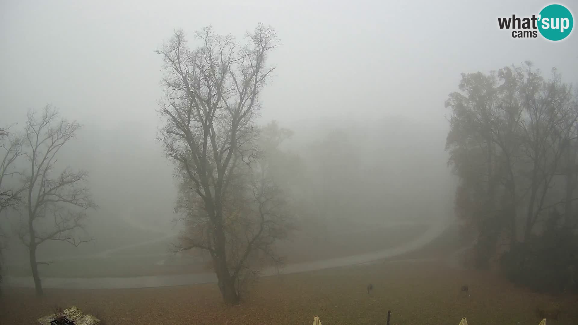 Webcam Maksimir park – Zagreb