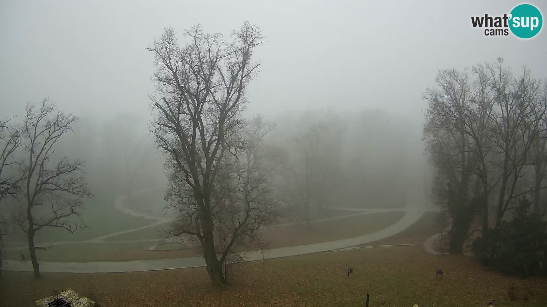 Webcam Maksimir park – Zagreb