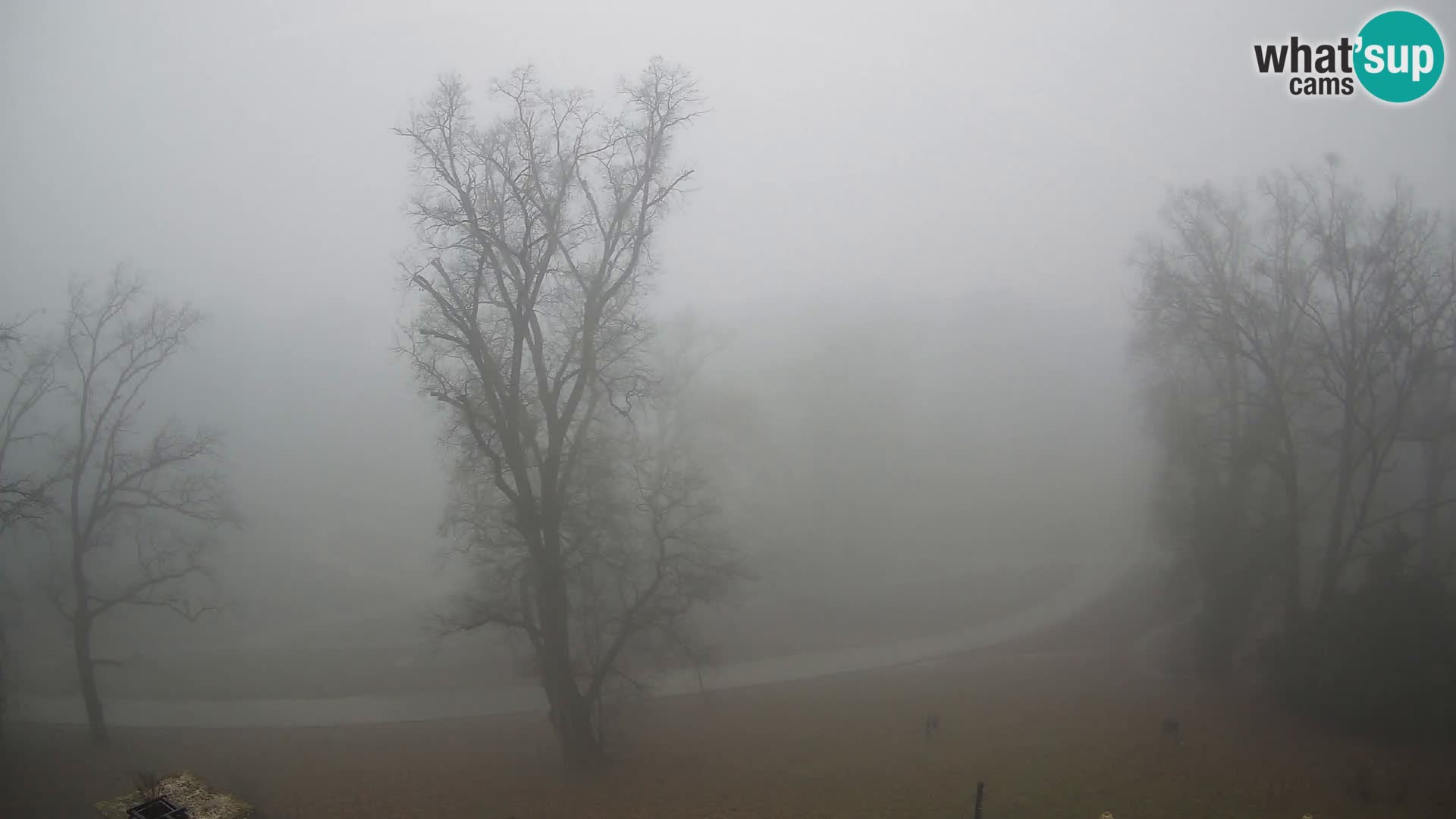 Spletna kamera park Maksimir – Zagreb