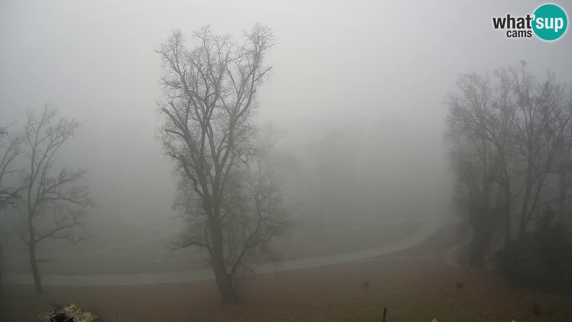 Webcam Maksimir park – Zagreb