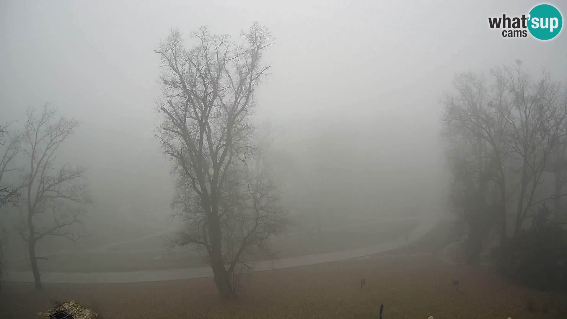 Webсam Parc Maksimir – Zagreb