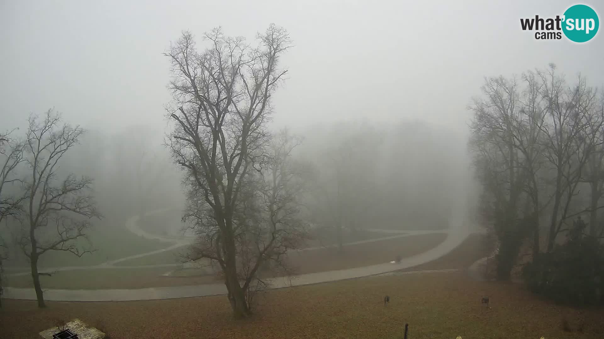 Webcam Maksimir park – Zagreb