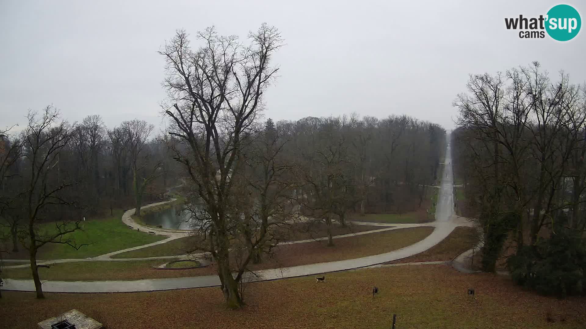 Webcam Maksimir park – Zagreb
