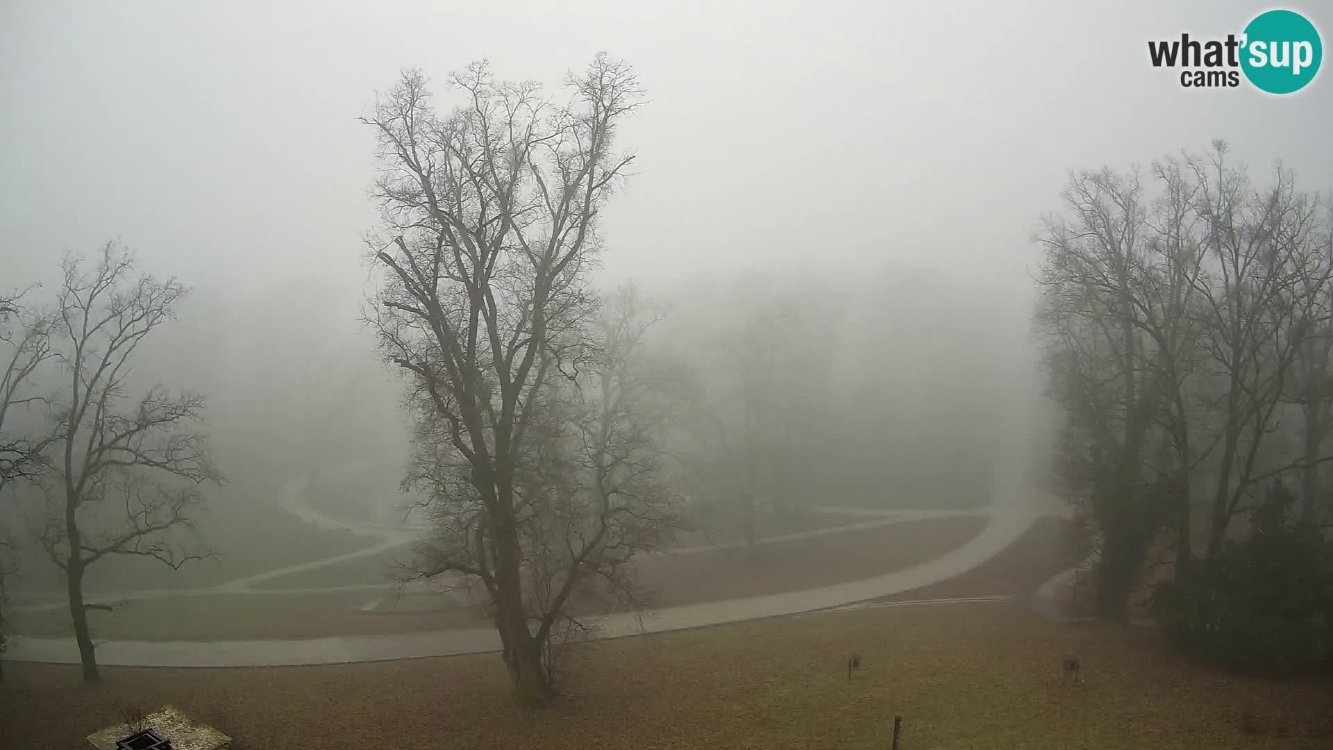 Webcam Maksimir park – Zagreb