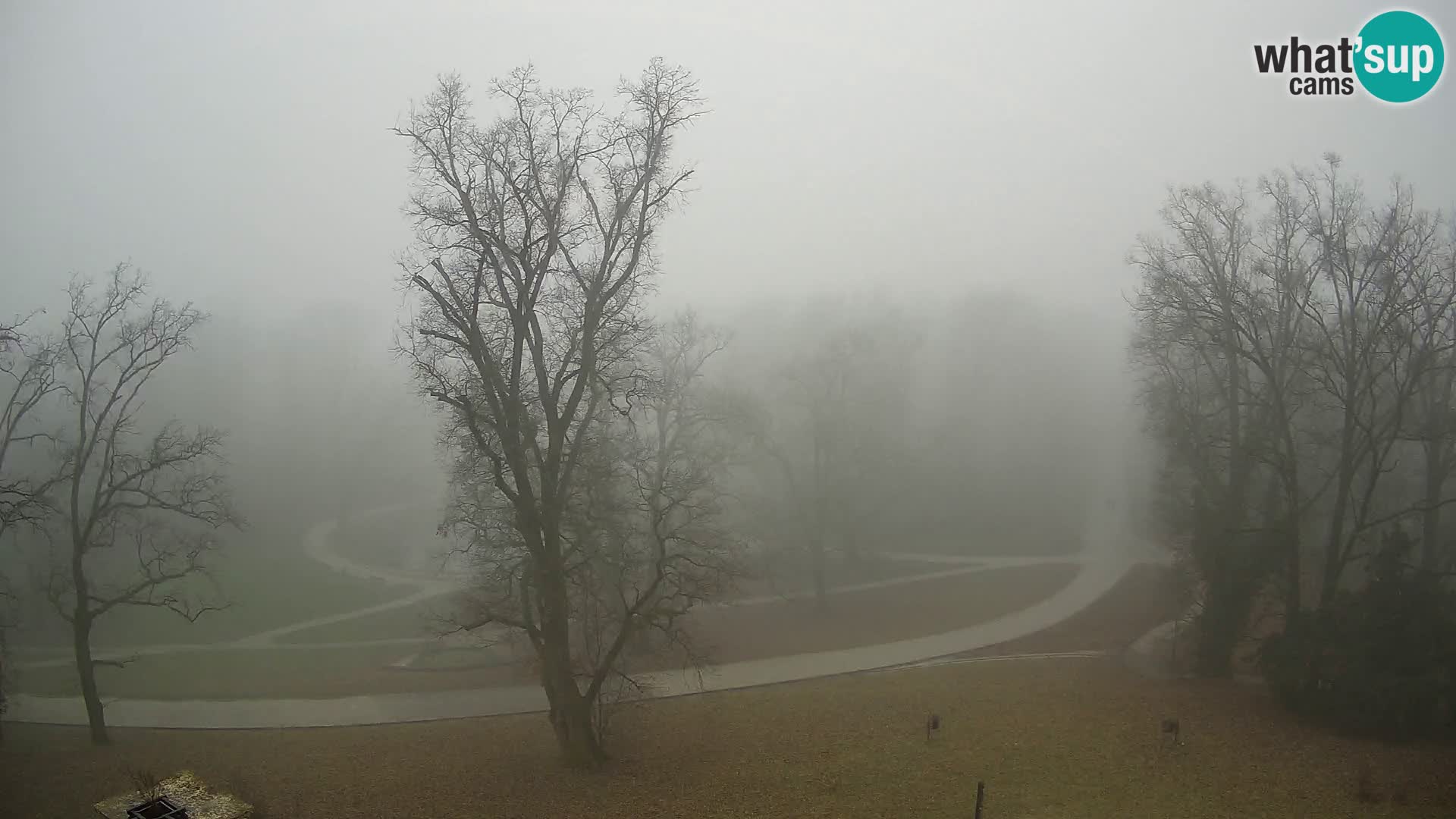 Webcam Maksimir park – Zagreb