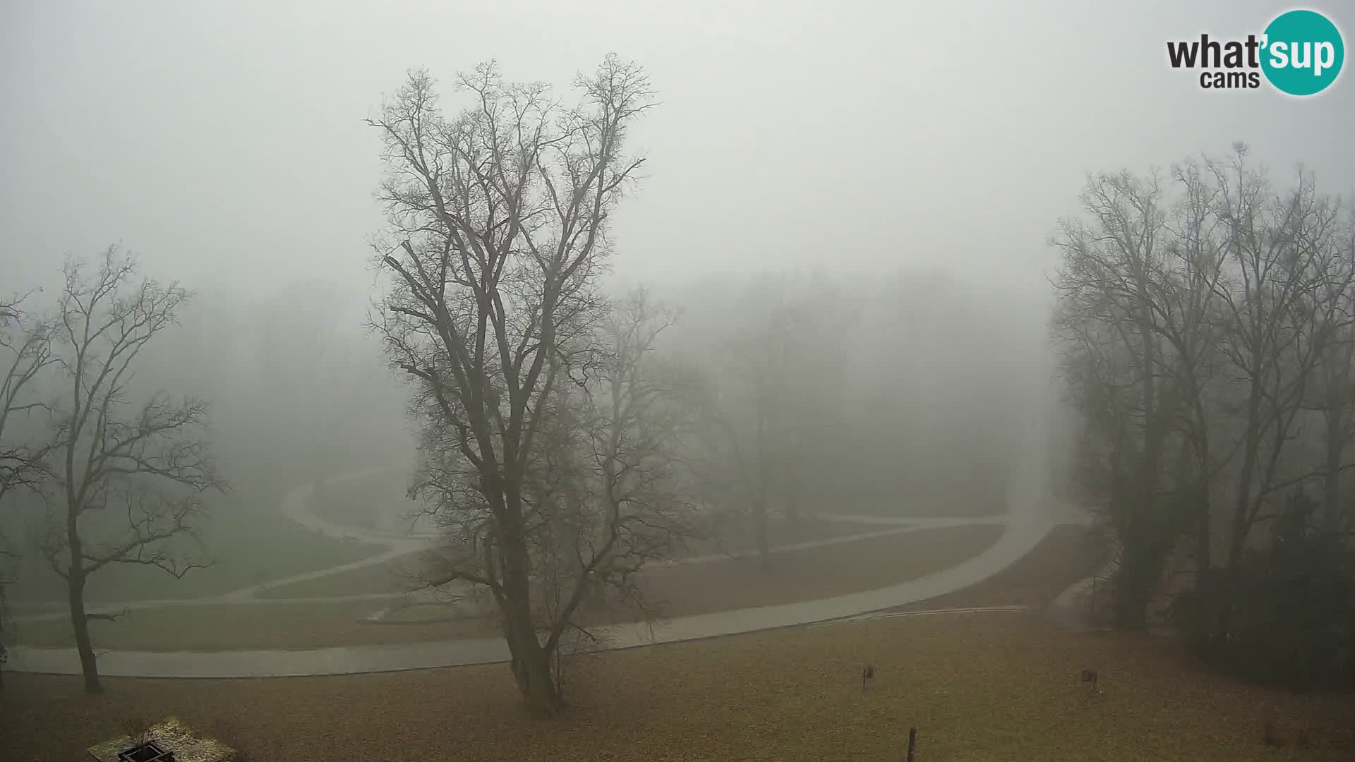 Webcam parko Maksimir – Zagabria