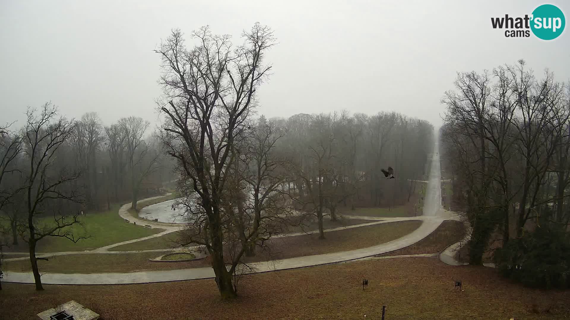 Webcam parko Maksimir – Zagabria