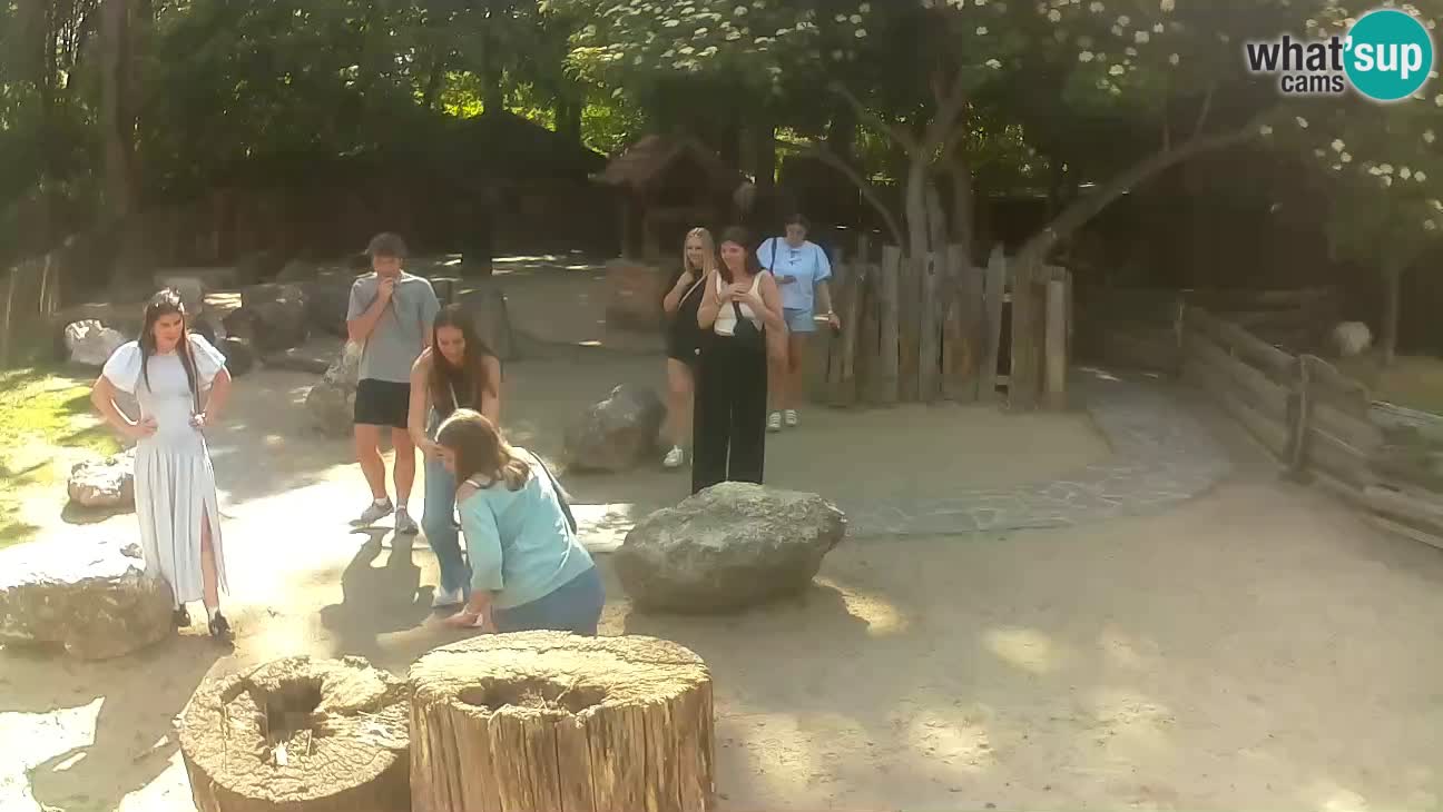 Zoo Zagreb – Cebo dai cornetti