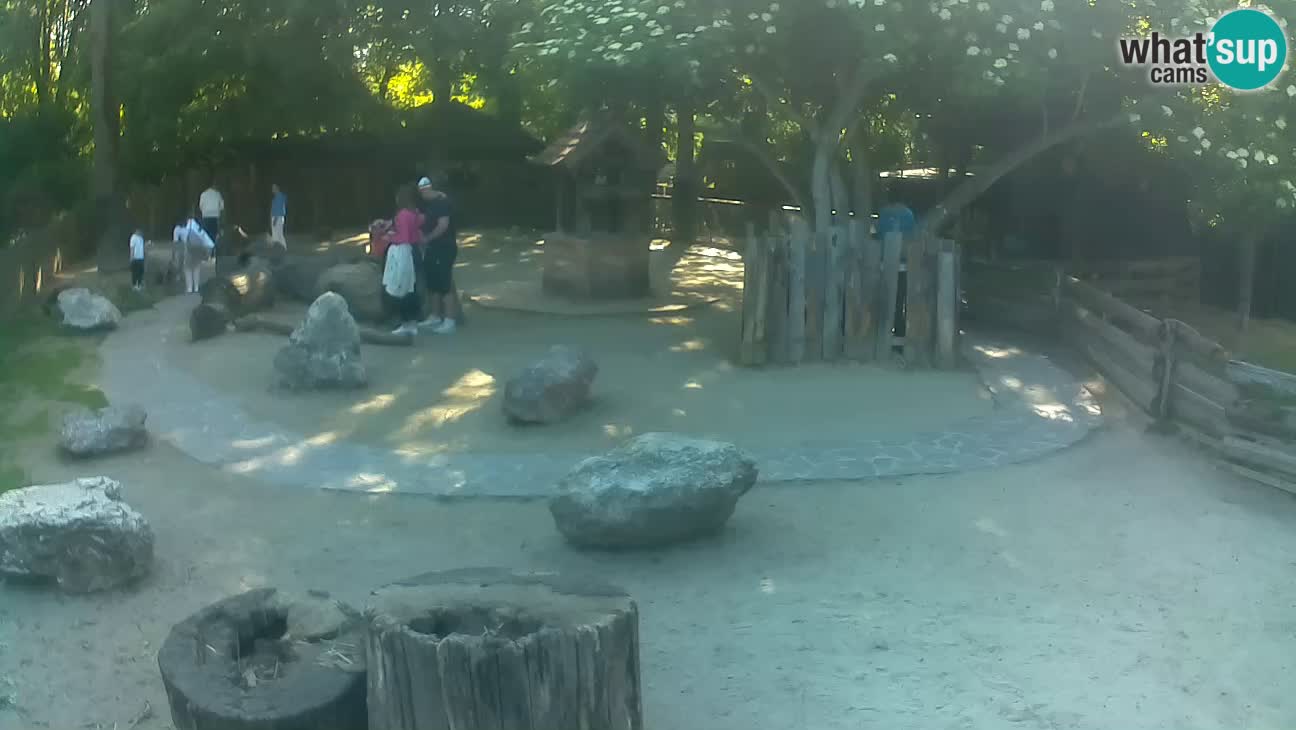 Zoo Zagreb – Haubenkapuziner