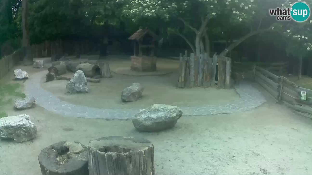 Zoo Zagreb – Cebo dai cornetti