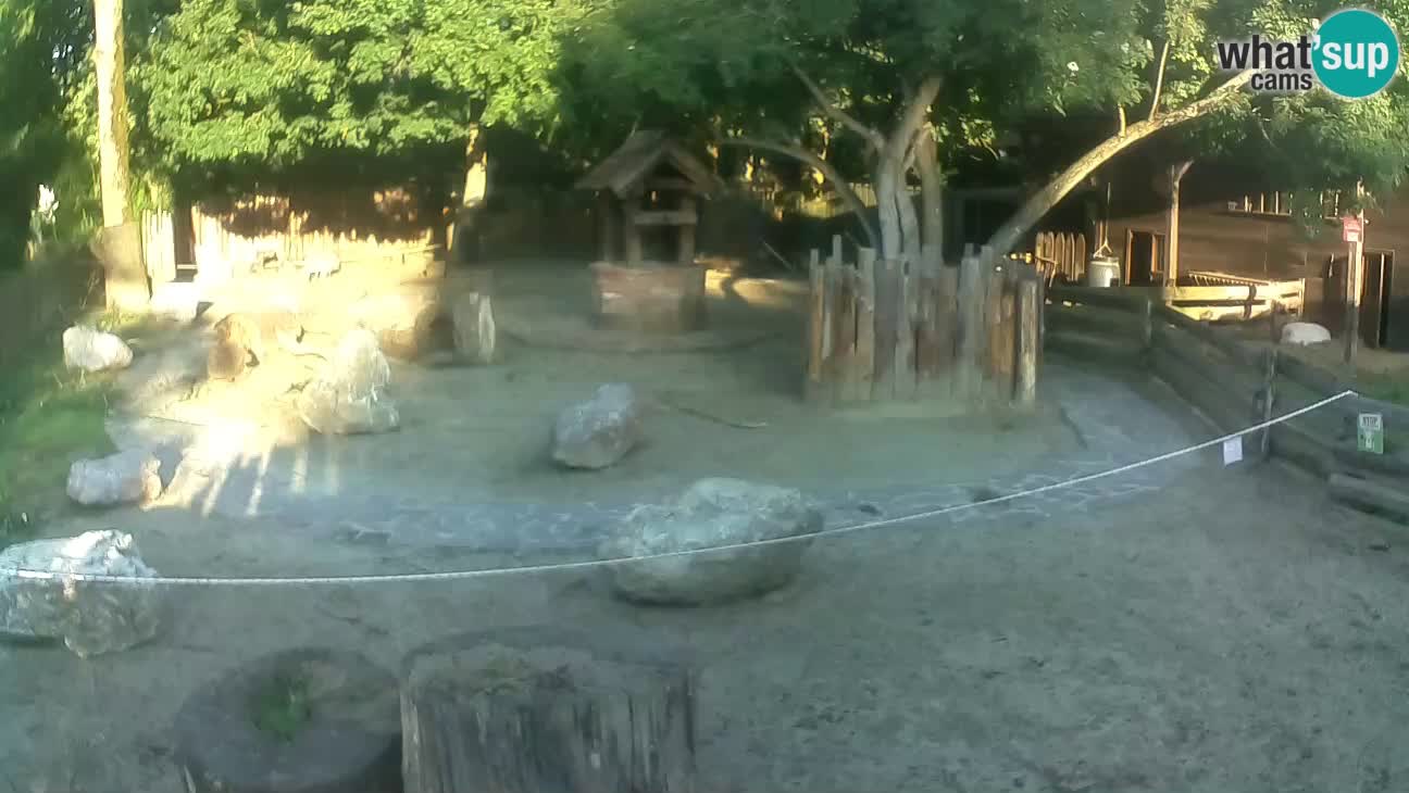 Zoo Zagreb – Cebo dai cornetti