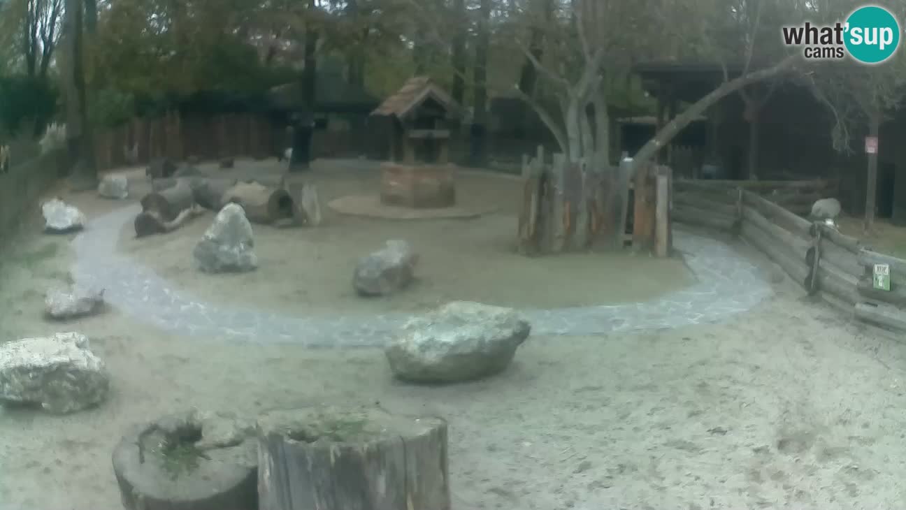 Zoo Zagreb – Cebo dai cornetti