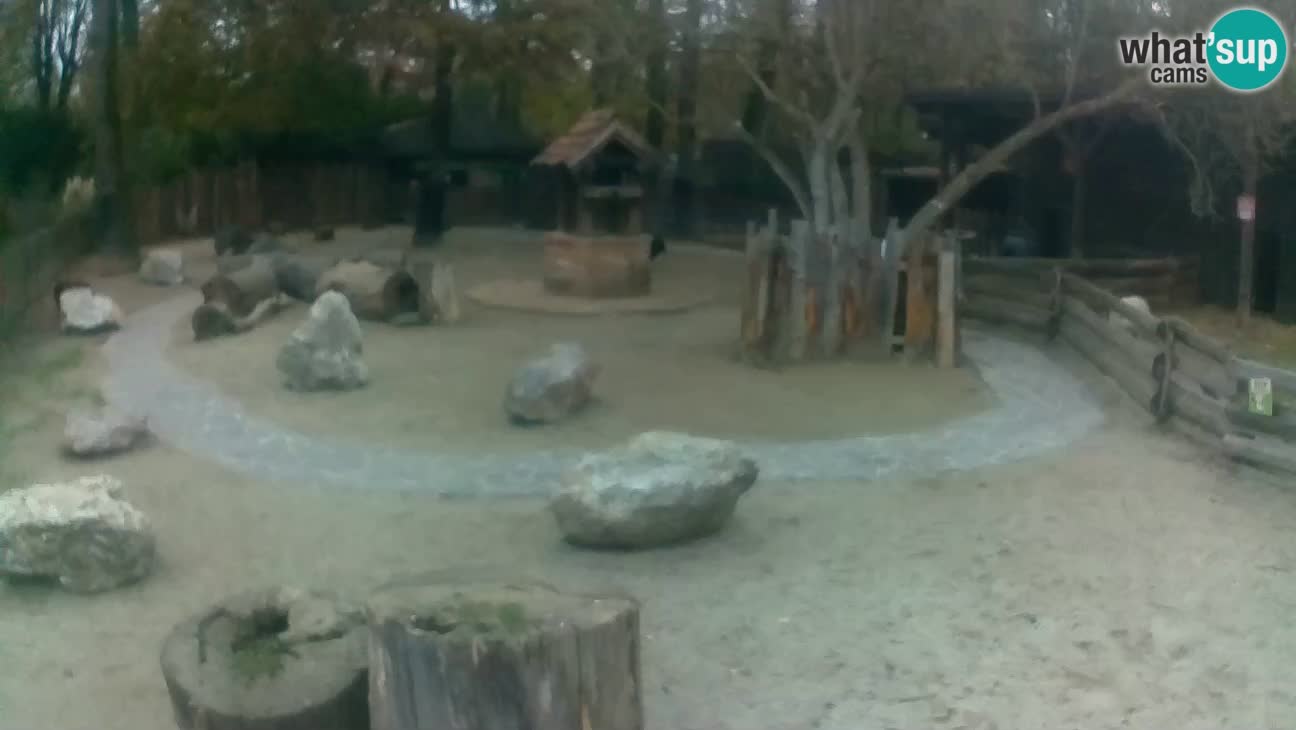 Zoo Zagreb –  Mono maicero