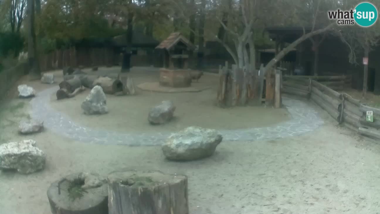 Zoo Zagreb – Cebo dai cornetti