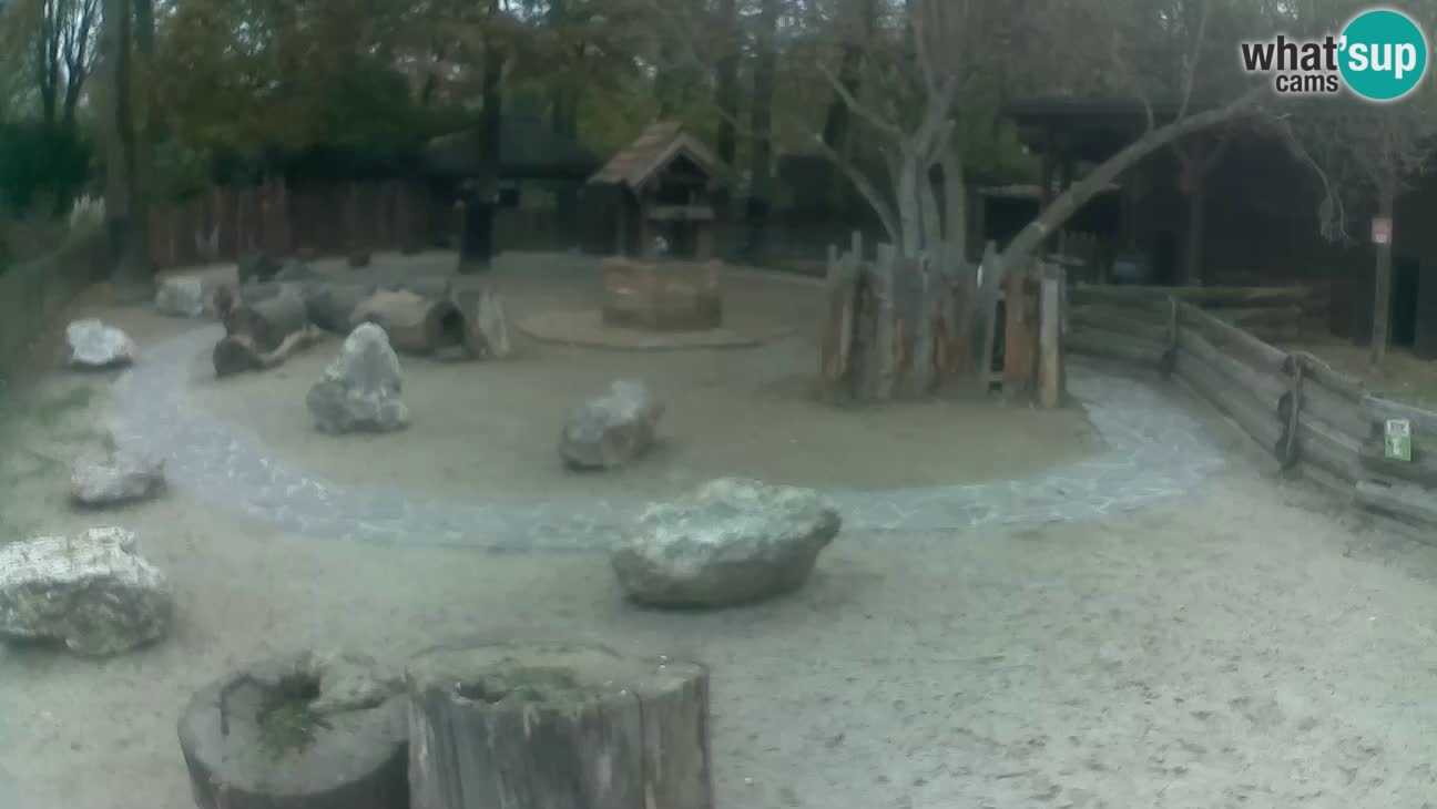 Zoo Zagreb – Cebo dai cornetti