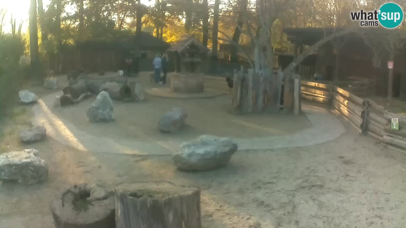 Zoo Zagreb – Cebo dai cornetti