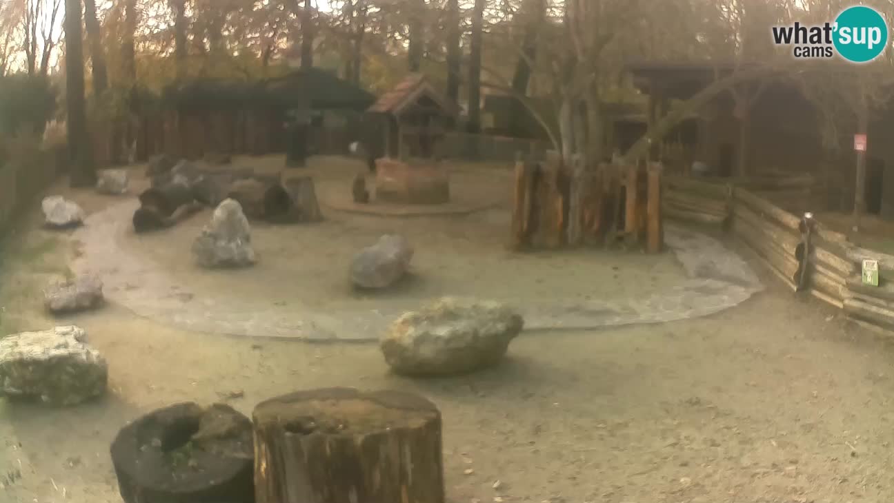 Zoo Zagreb – Cebo dai cornetti