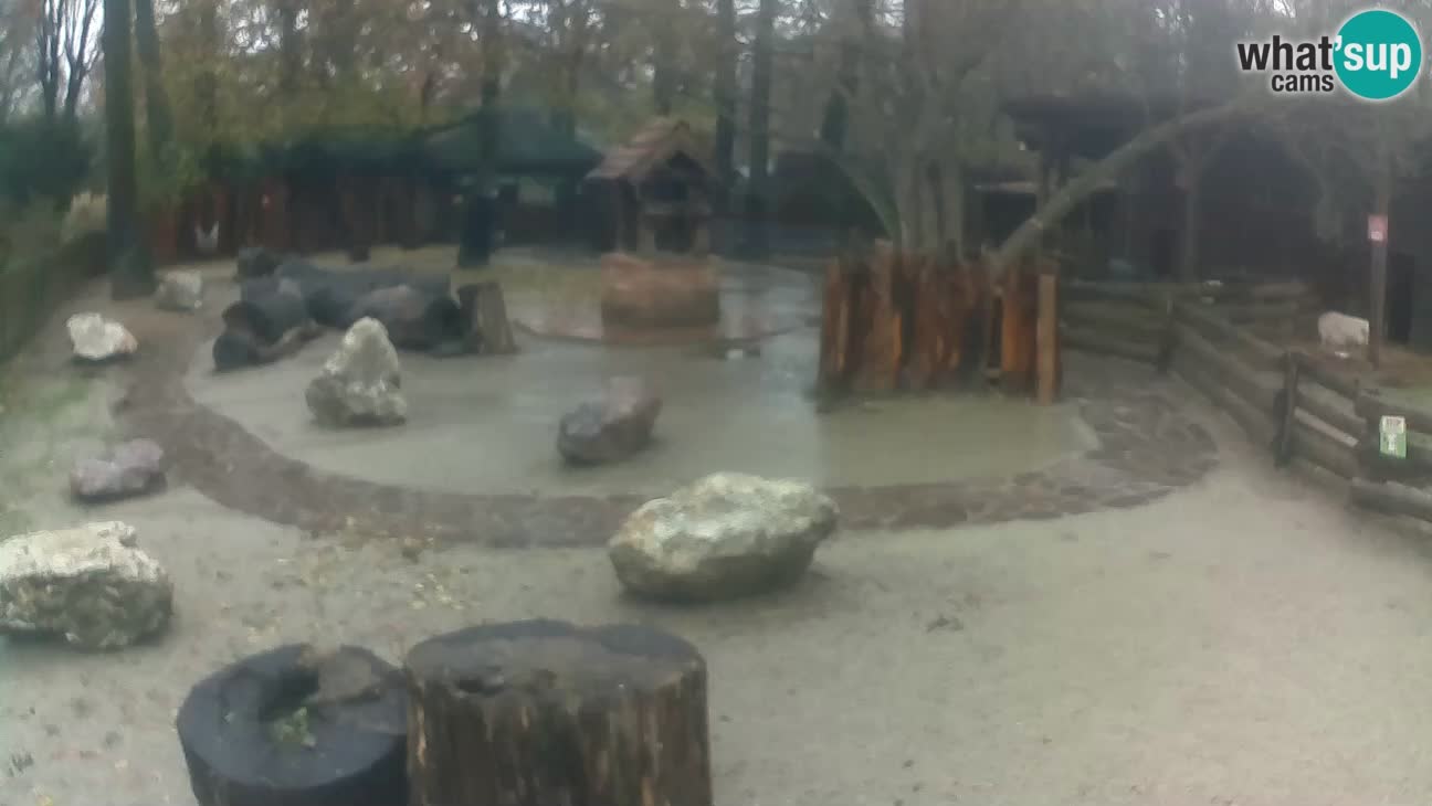 Zoo Zagreb – Cebo dai cornetti