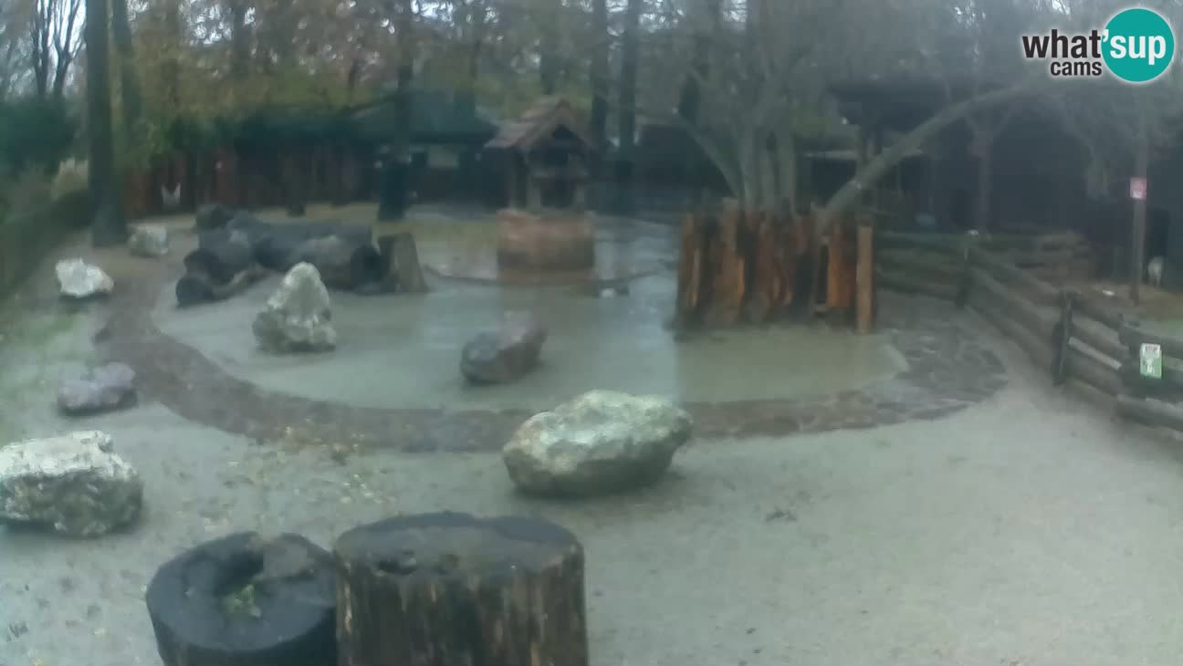 Zoo Zagreb – Cebo dai cornetti