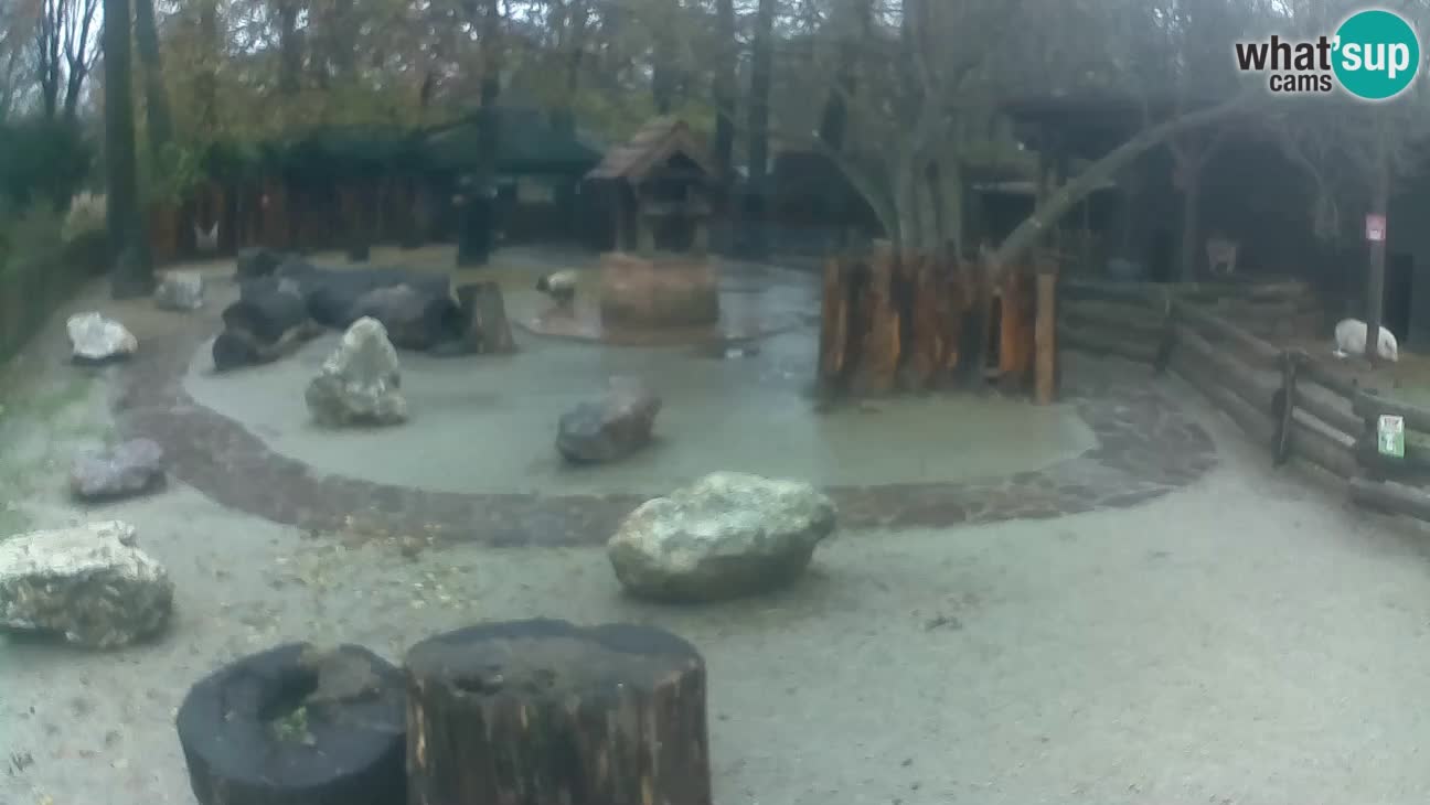 Zoo Zagreb –  Mono maicero