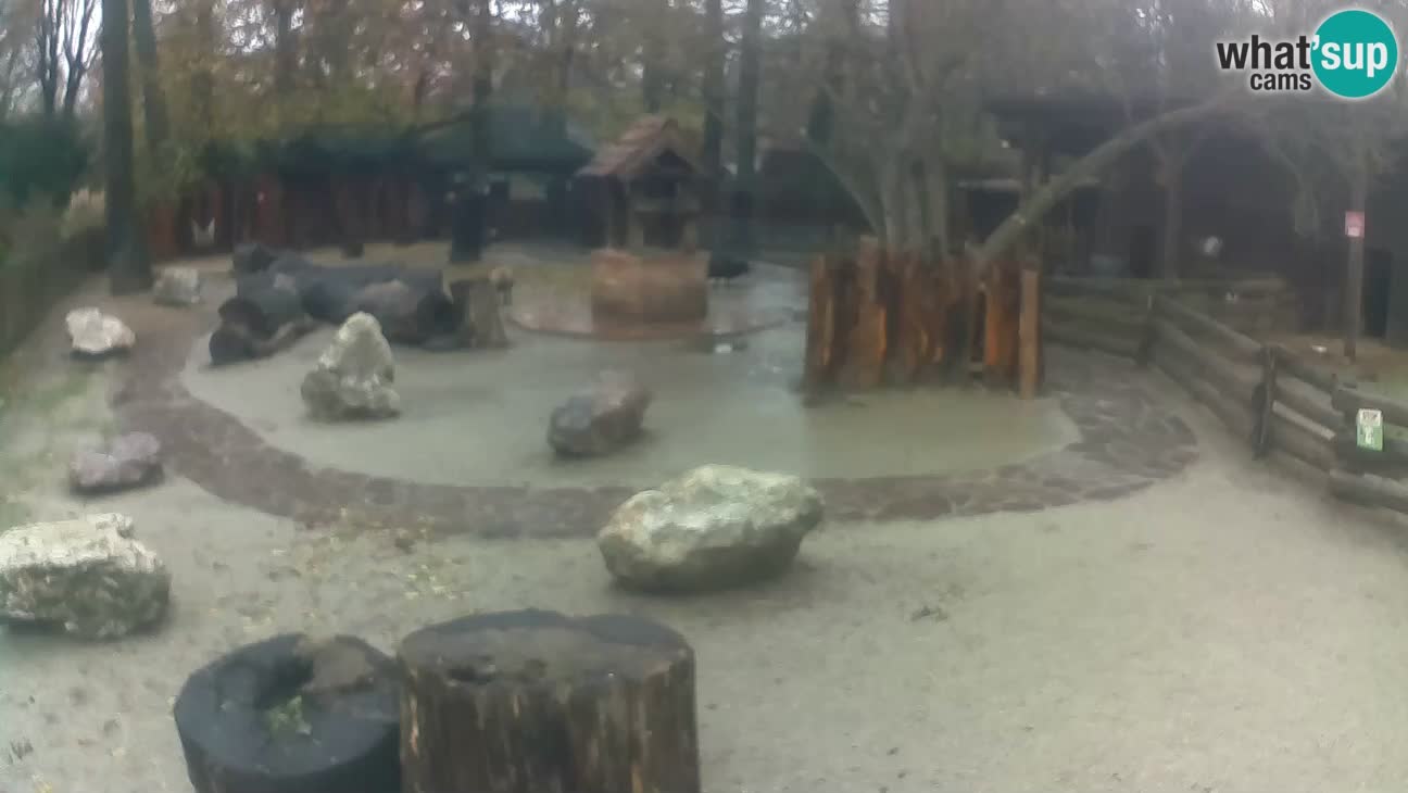 Zoo Zagreb –  Mono maicero