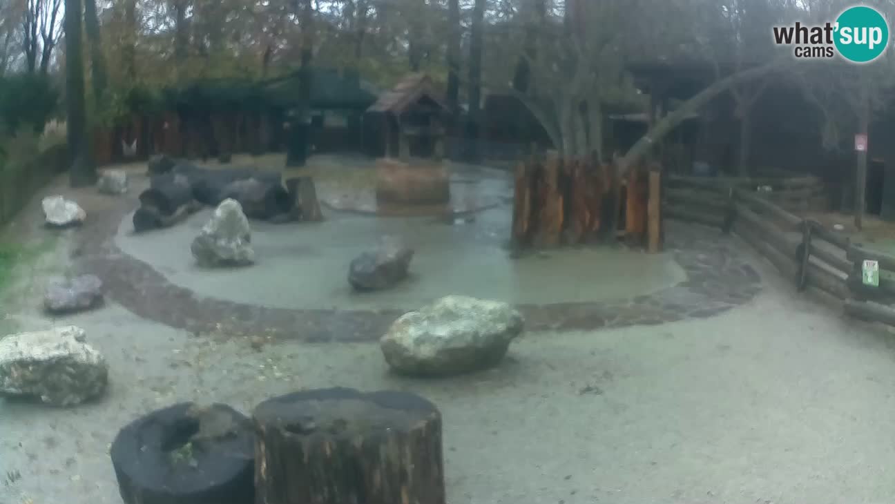 Zoo Zagreb – Haubenkapuziner