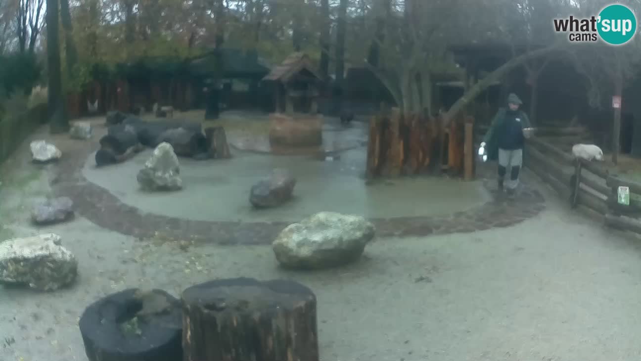 Zoo Zagreb – Cebo dai cornetti