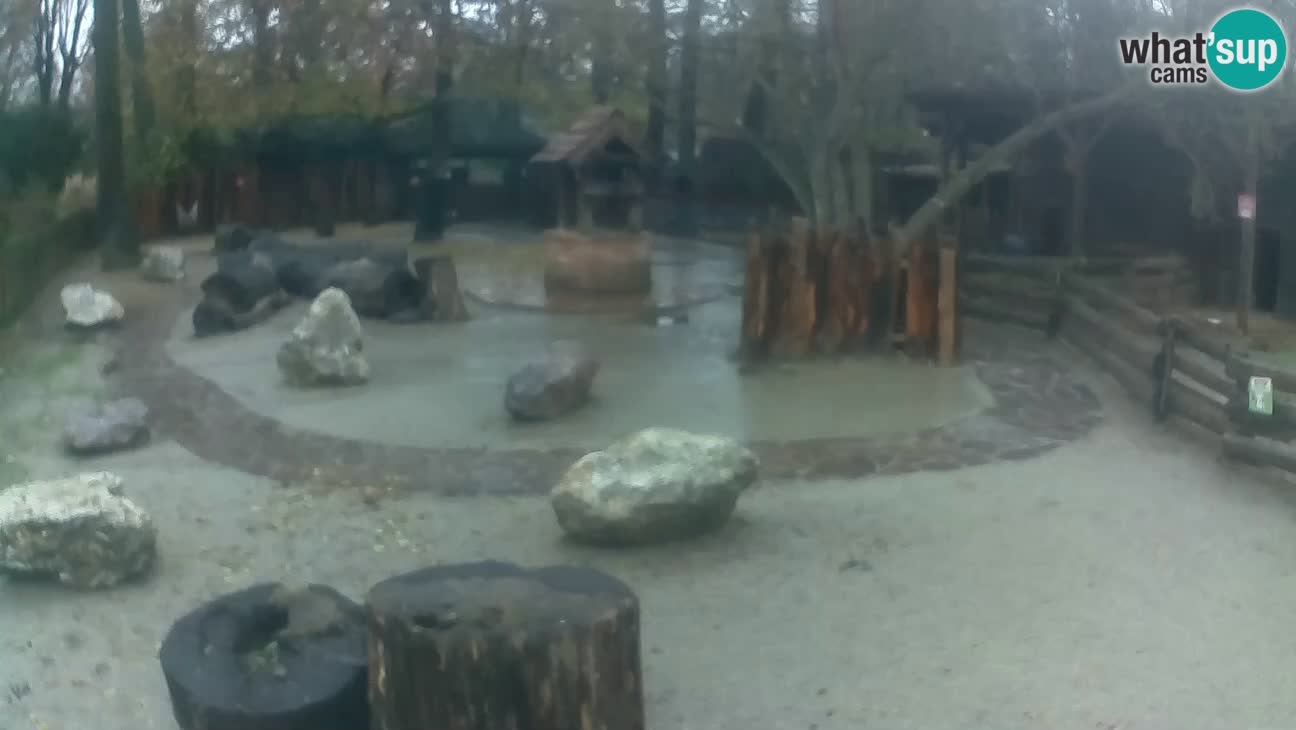 Zoo Zagreb –  Mono maicero