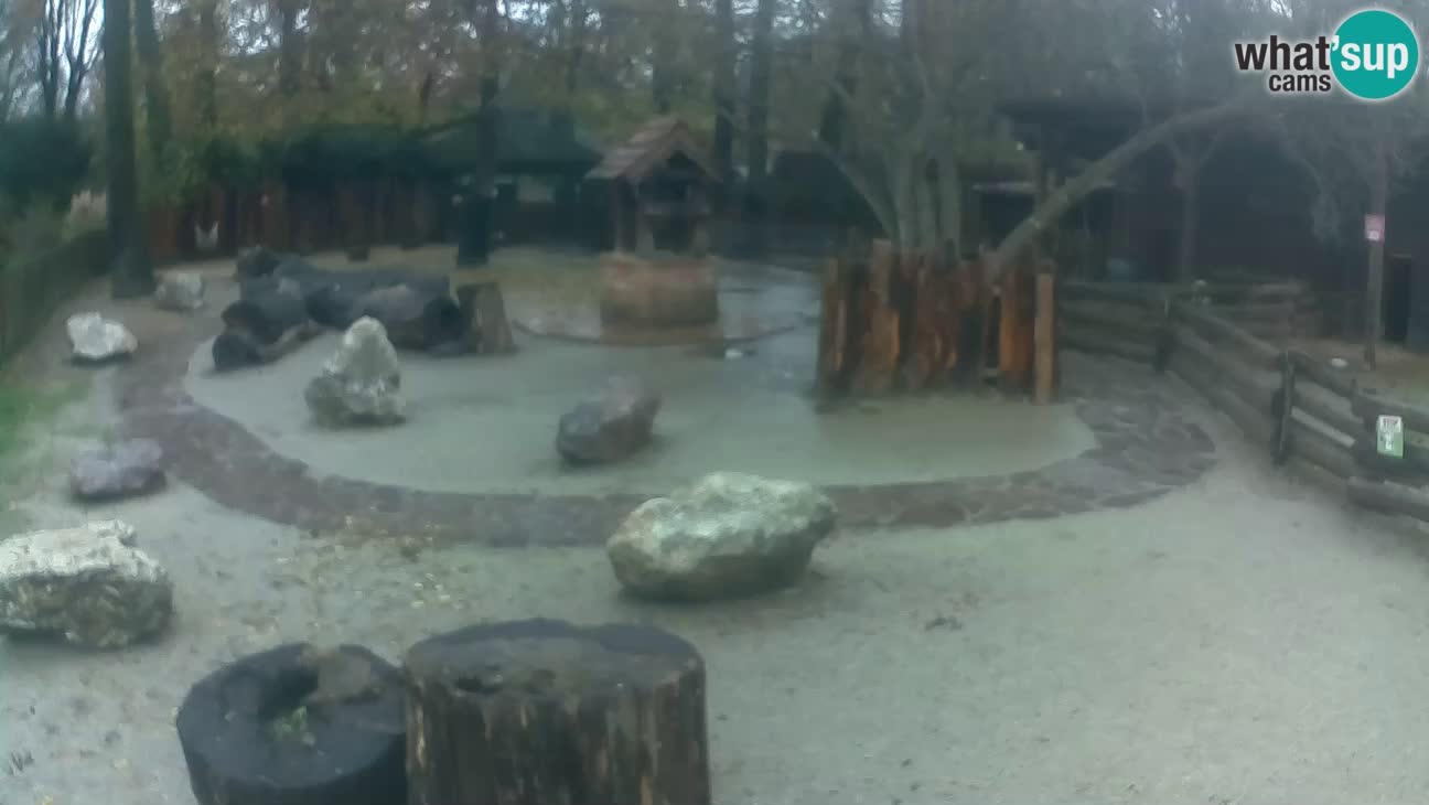 Zoo Zagreb – Cebo dai cornetti