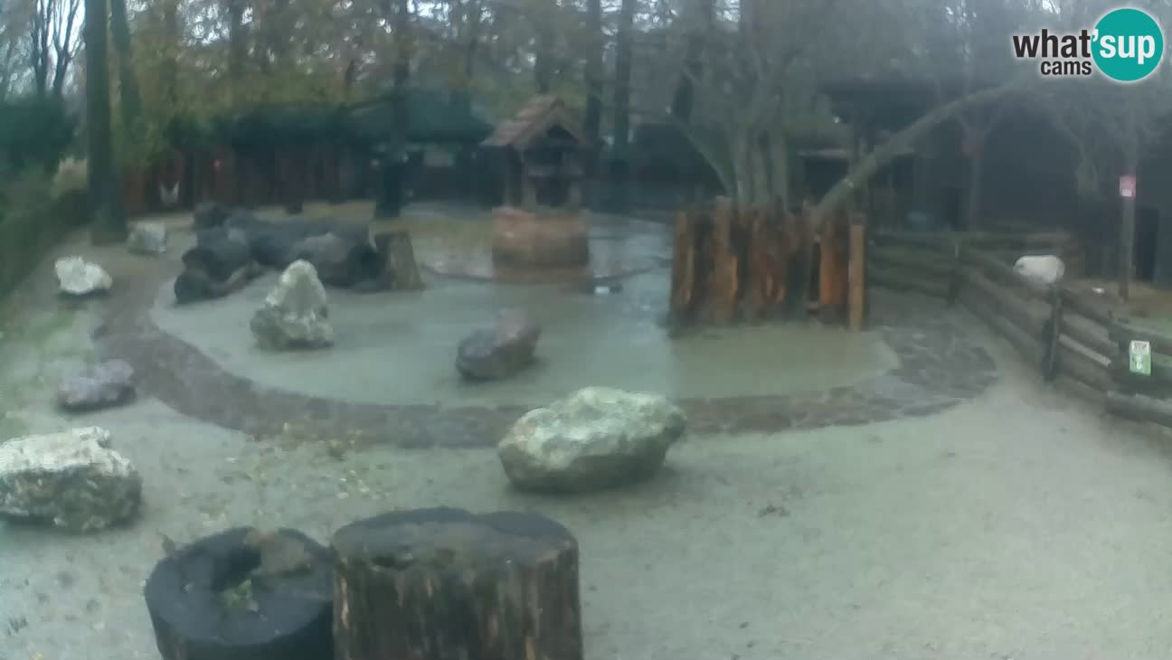 Zoo Zagreb – Cebo dai cornetti