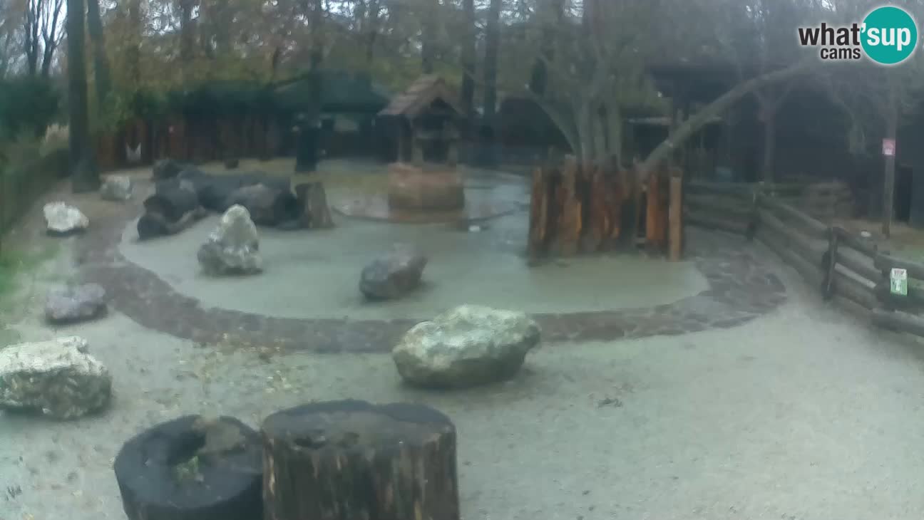 Zoo Zagreb –  Mono maicero