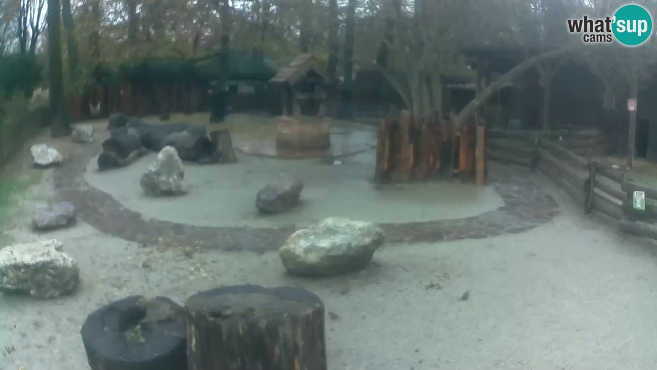 Zoo Zagreb – Haubenkapuziner