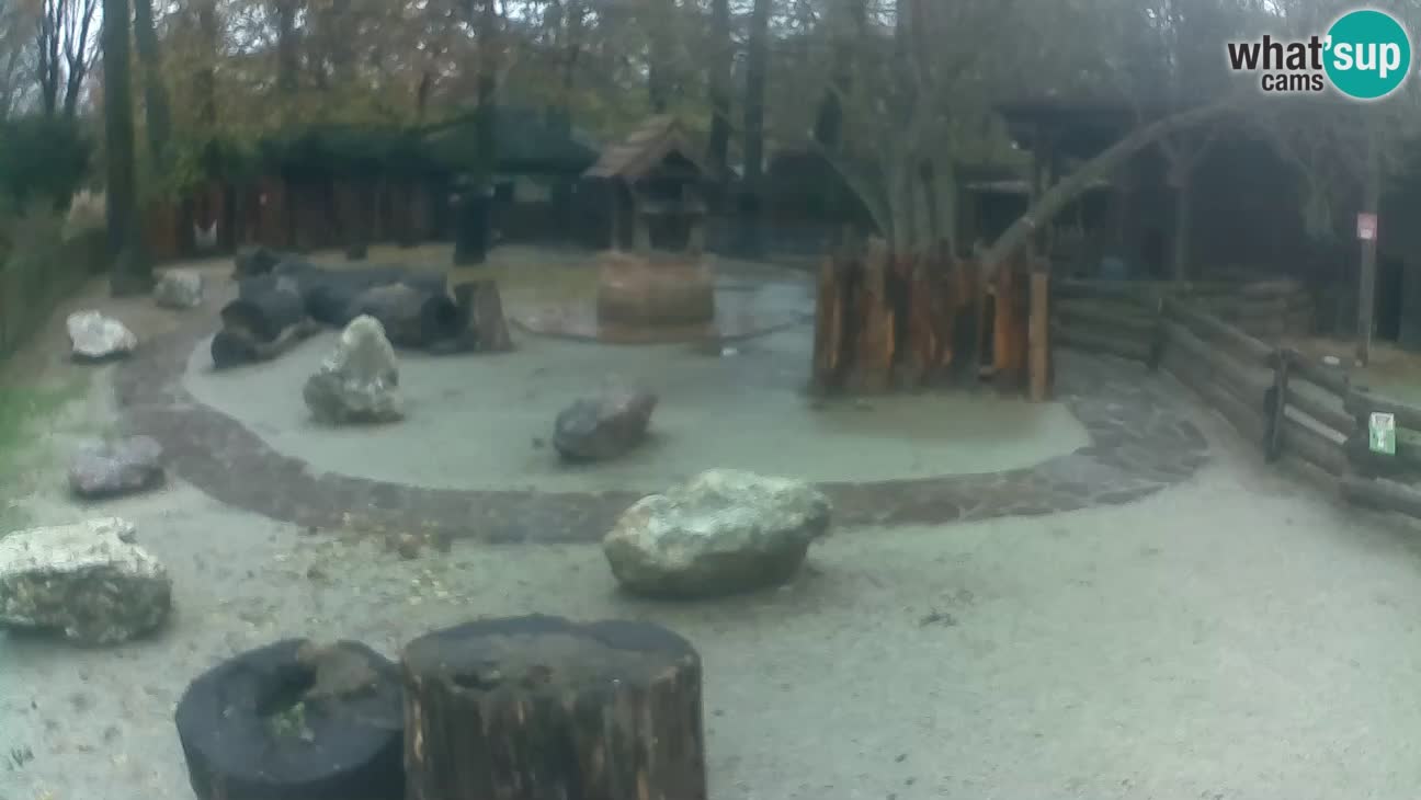 Zoo Zagreb –  Mono maicero