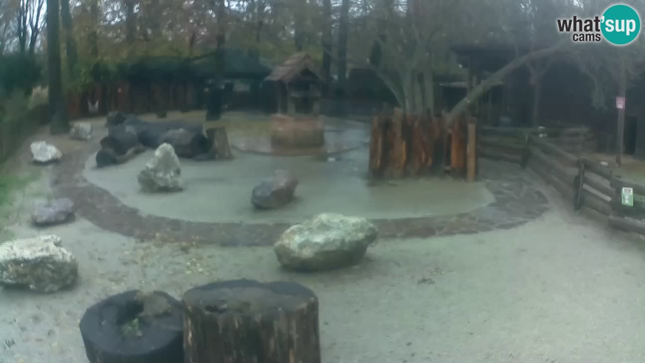 Zoo Zagreb – Cebo dai cornetti