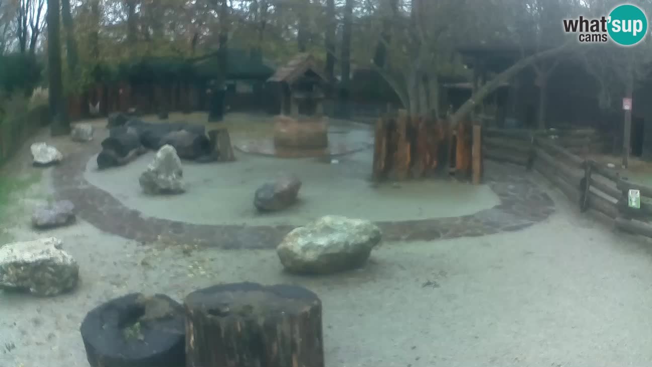 Zoo Zagreb – Cebo dai cornetti