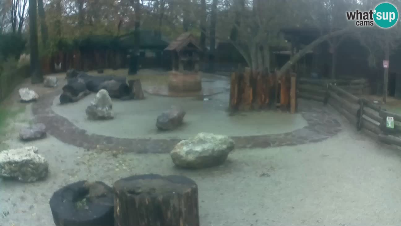 Zoo Zagreb – Cebo dai cornetti