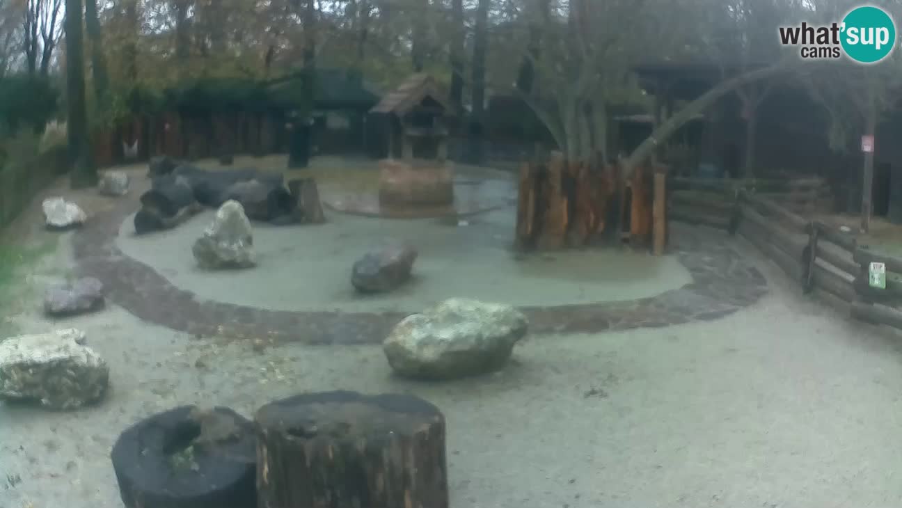 Zoo Zagreb – Cebo dai cornetti